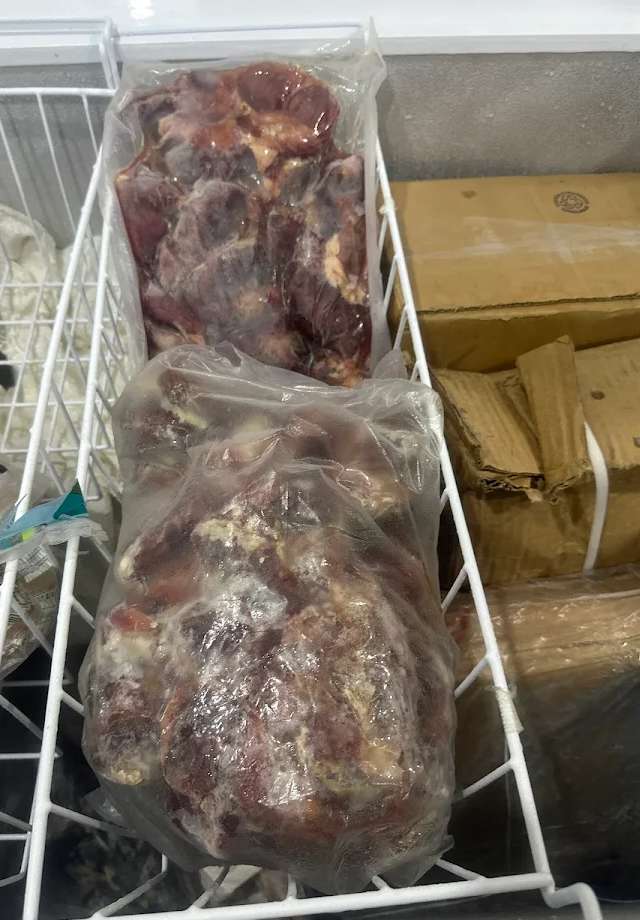 ICEWING FROZEN MART — photo 1